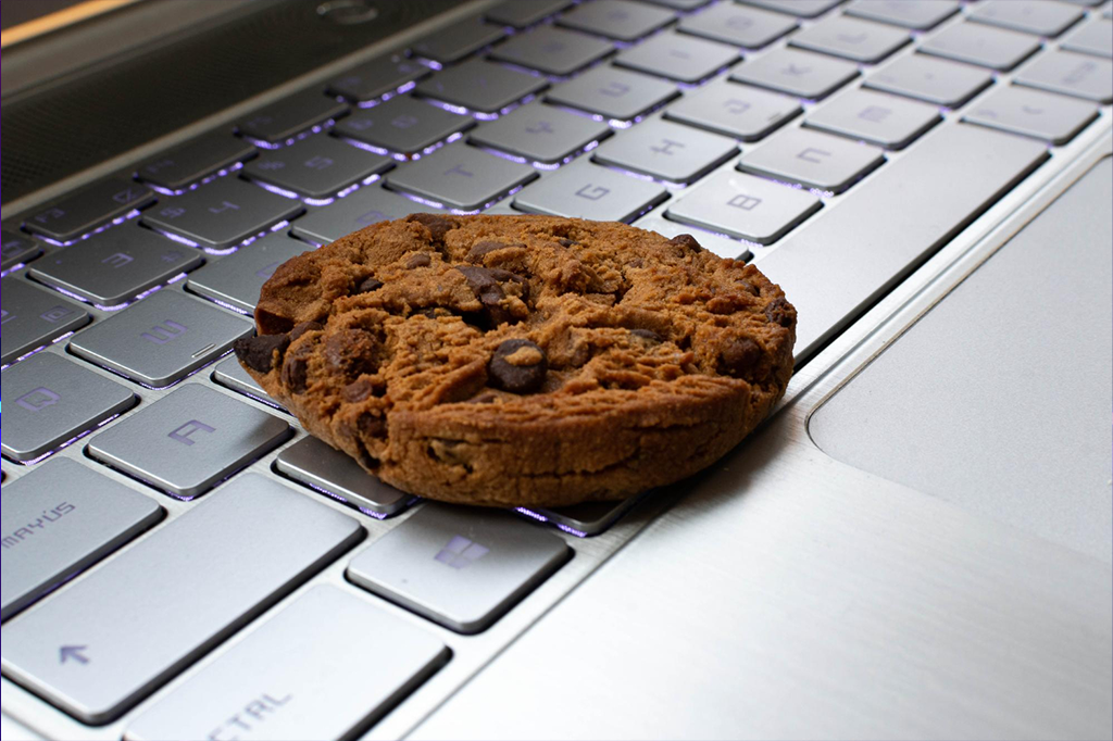 Managing Cookies in WordPress